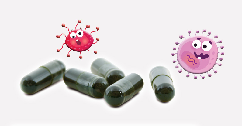 Spirulina disease