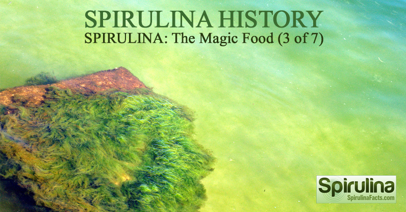 Spirulina history