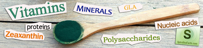vitamins, minerals, lipids, pigments, carbohydrates, nucleic acids