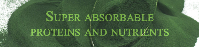 super absorbable proteins and nutrients