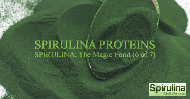 Spirulina proteins