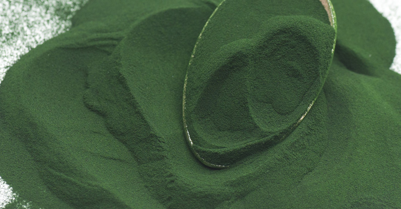 Spirulina proteins