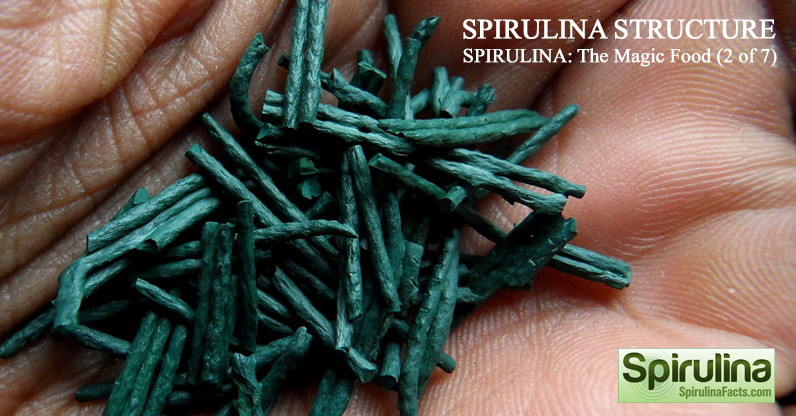 Spirulina structure
