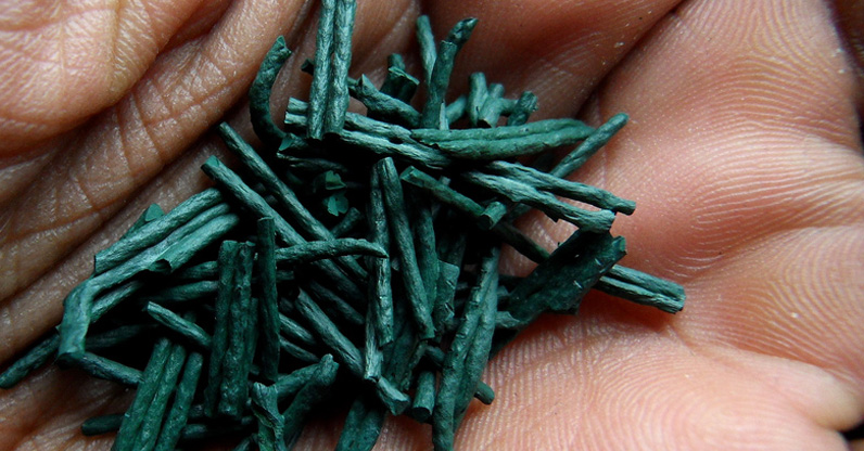 Spirulina structure